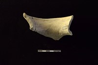 陶罐藏品圖，第2張